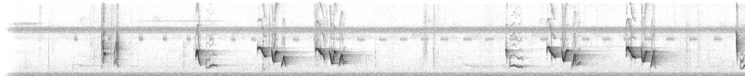 Riverside Wren - ML211101