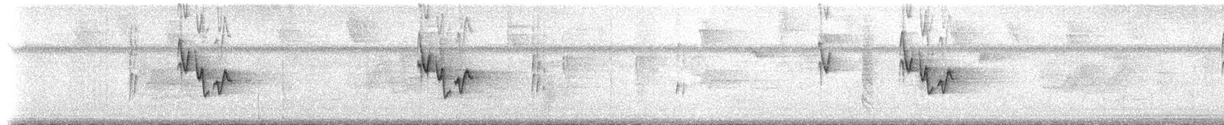 Lesser Greenlet (Northern) - ML211106