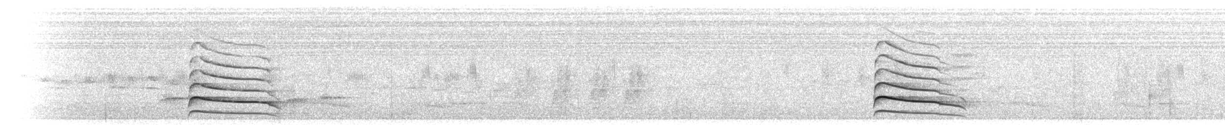 Канюк плямистогрудий - ML211152701