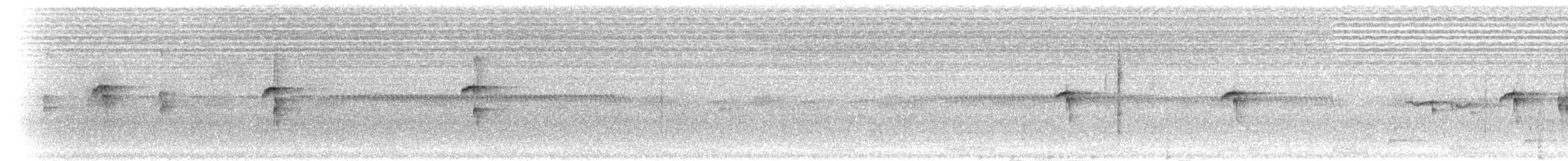 Ошейниковая щурка - ML211154851