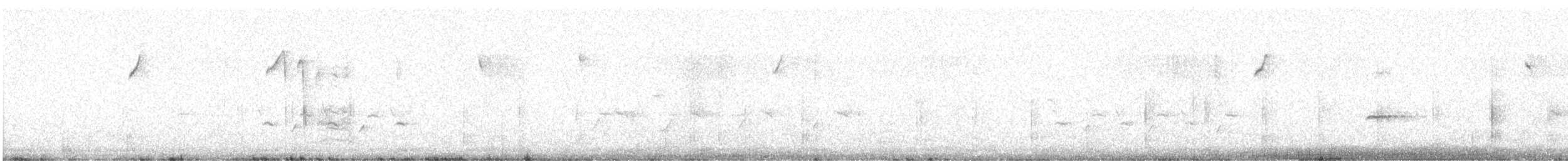 Virginia Rail - ML211190191