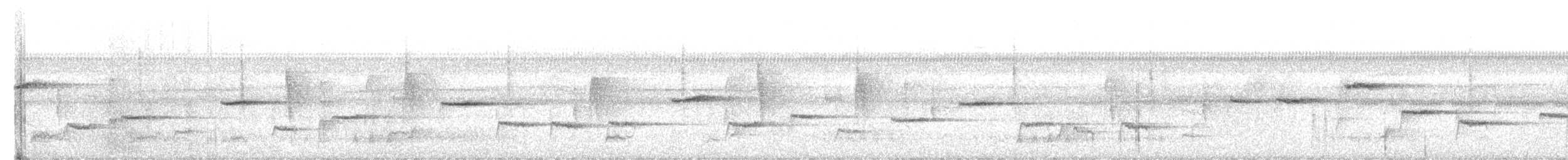 Куцехвостый крапивник - ML211203621
