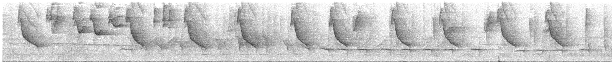Белокрылая сорокопутовая танагра - ML211204421