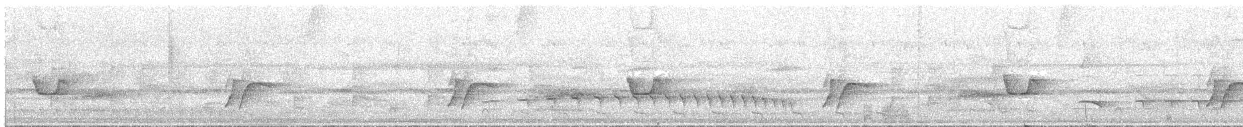 Тиранчик-короткодзьоб амазонійський - ML211205051