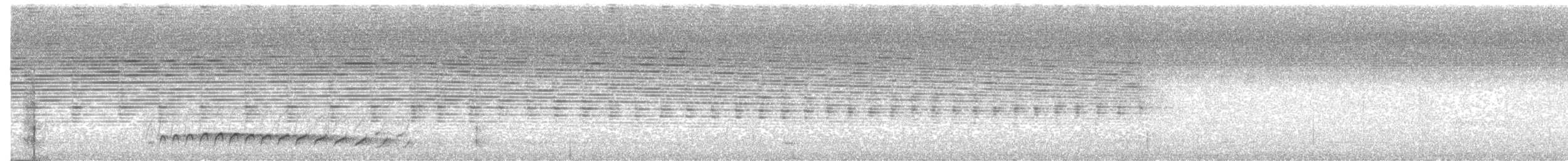 amazonvatretreløper (juruanus/polyzonus) - ML211206391