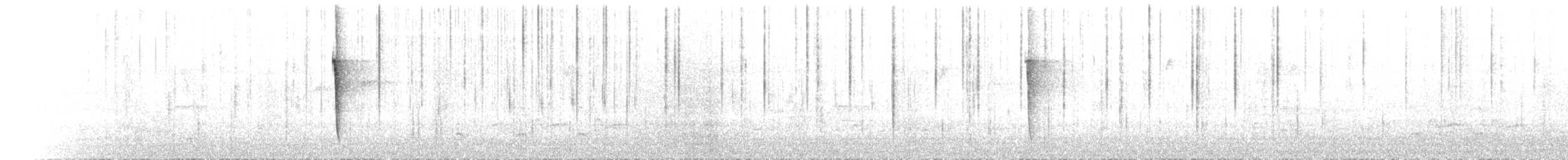 Sperlingsvogel, unbestimmt - ML211216751