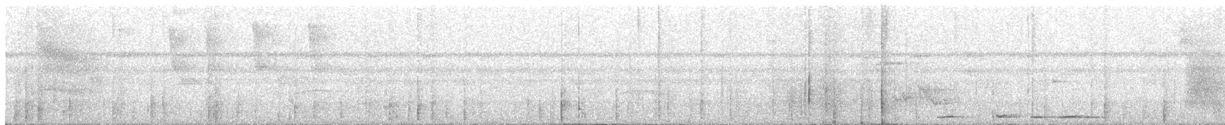 holub krátkozobý - ML211220931