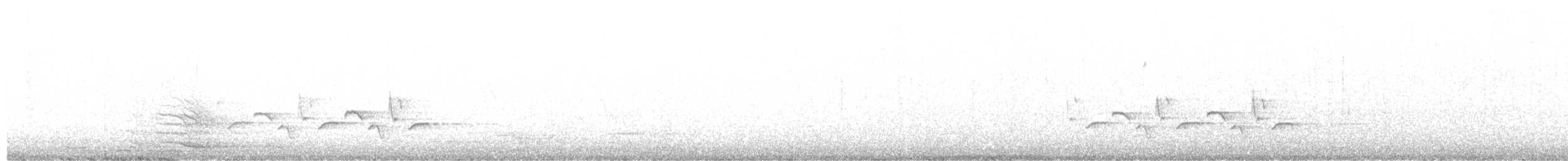 Каролинский крапивник - ML211257451