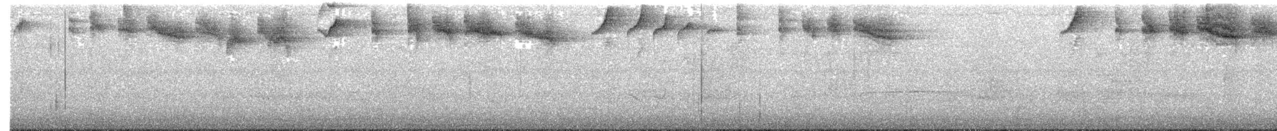 Schwarzring-Buschammer - ML211281511