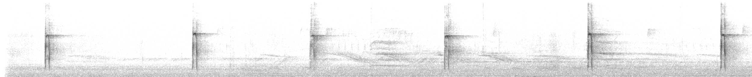 Pic chevelu (groupe villosus) - ML211302481