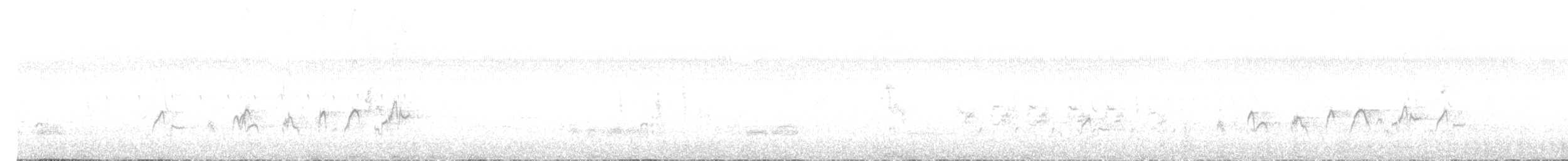 白環鸚嘴鵯 - ML211316791