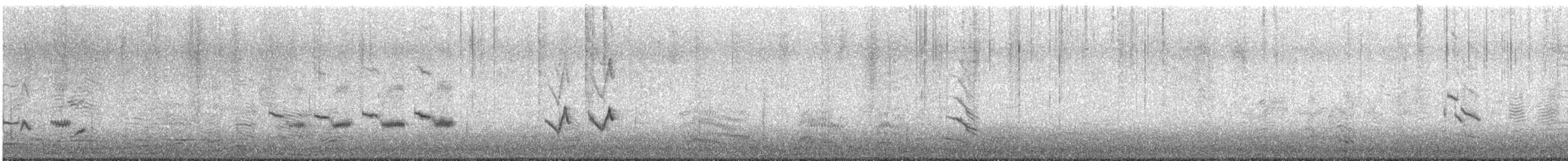 drozdec mnohohlasý - ML211322841
