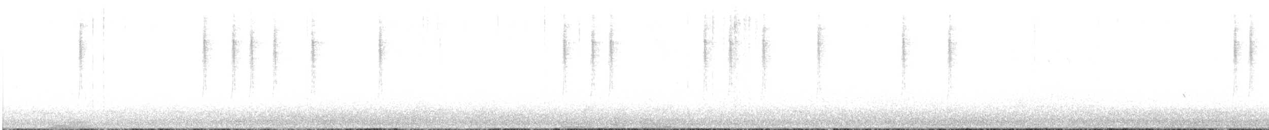lesňáček černobílý - ML211385411