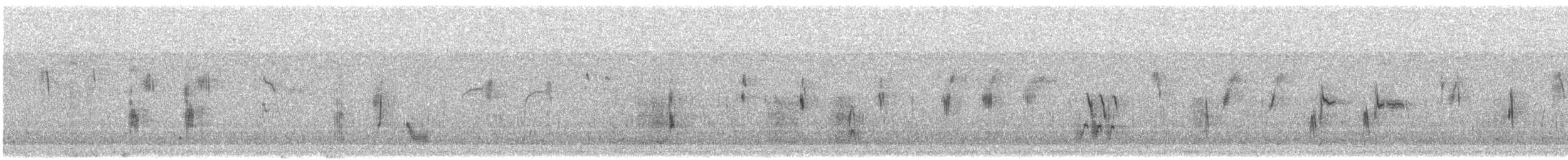 White-throated Dipper - ML211402421