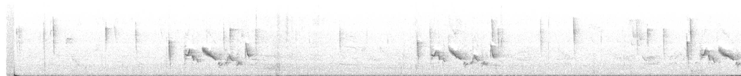 Weißaugenvireo [griseus-Gruppe] - ML211443791