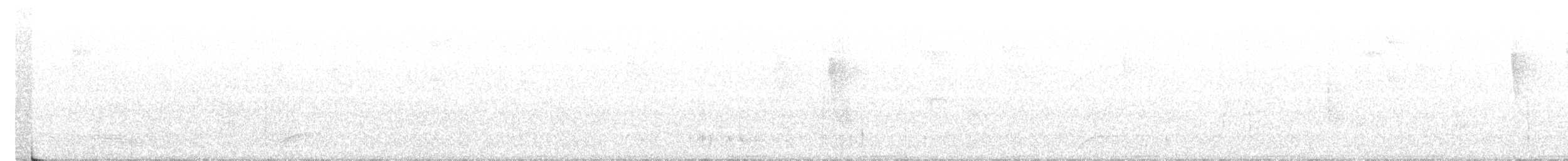 Gray-fronted Quail-Dove - ML211447931