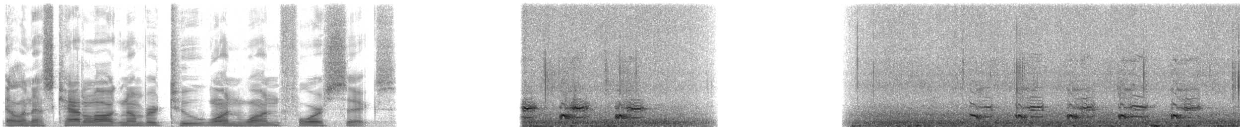 Coppery-tailed Trogon - ML21146