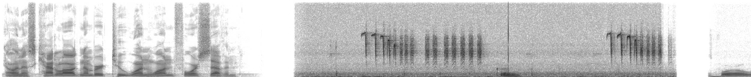 tøylemeis - ML21147