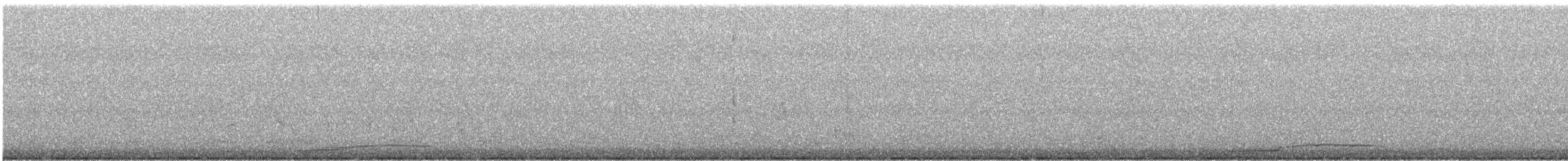 Гагара полярна - ML211497721