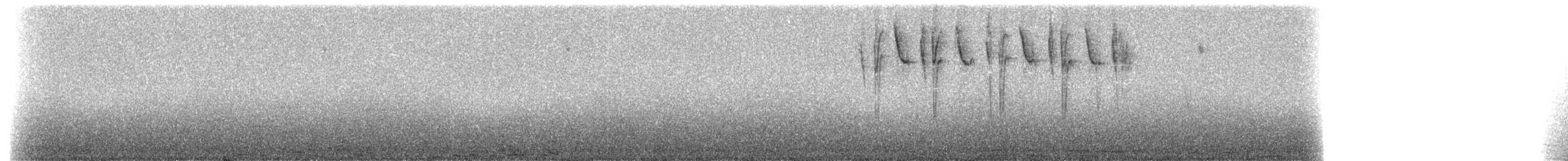 Серый конусоклюв (fraseri) - ML211528