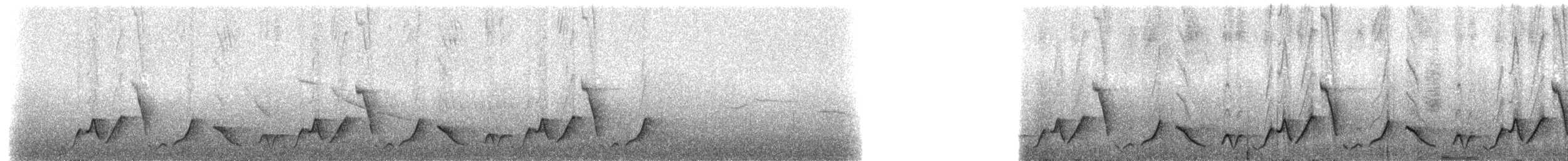 Düz Kuyruklu Çıtkuşu [euophrys grubu] - ML211529