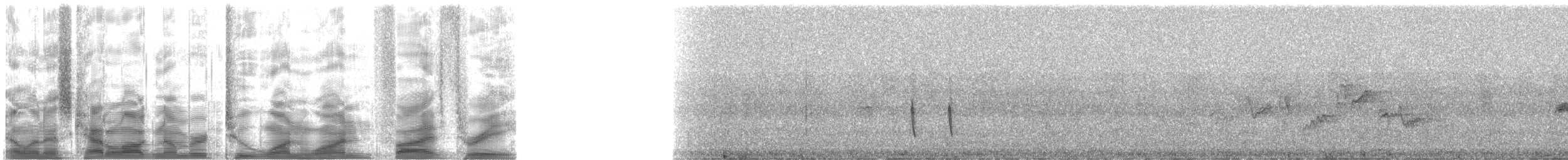 Brown-headed Cowbird - ML21153