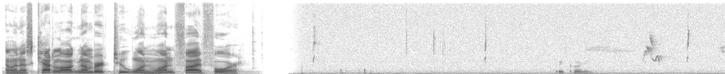 チャバライカル - ML21154