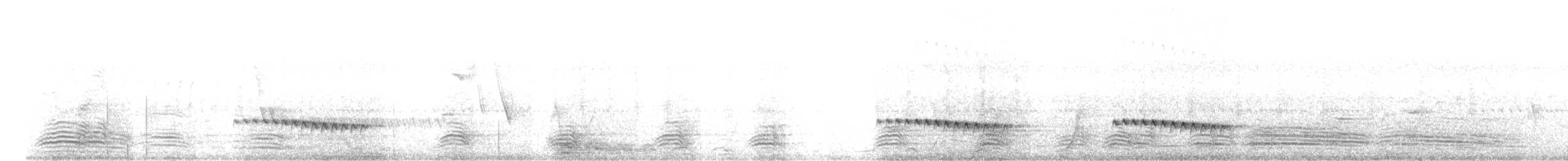 Кукавка віялохвоста - ML211546811