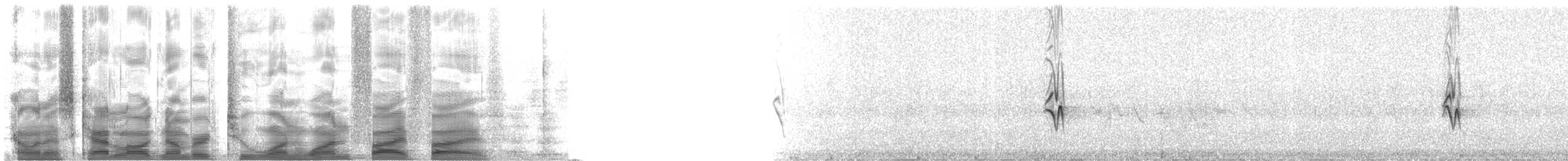 House Finch - ML21155