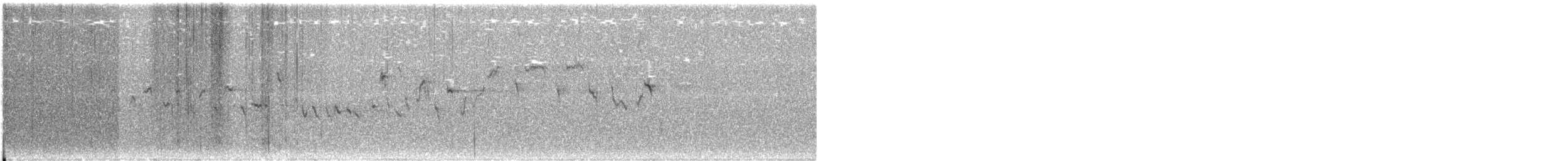 Winter Wren - ML211551001