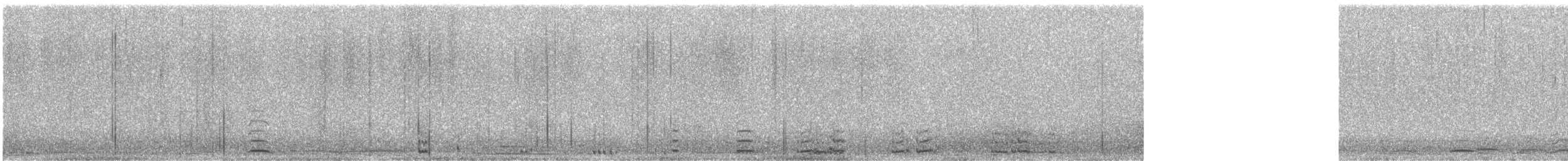 Cygne siffleur - ML211567581