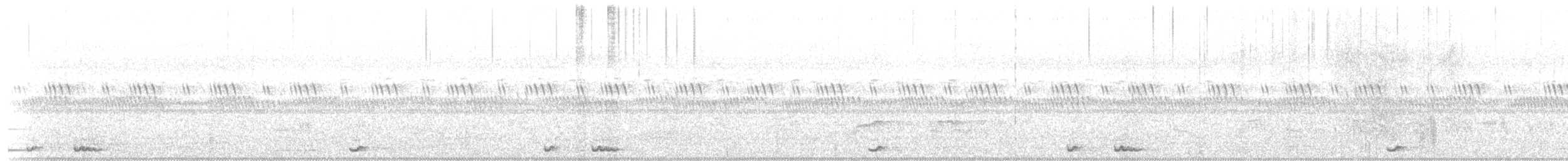 Jerdon's Nightjar - ML211581151