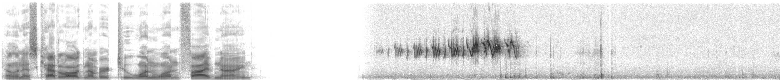 Black-throated Gray Warbler - ML21159