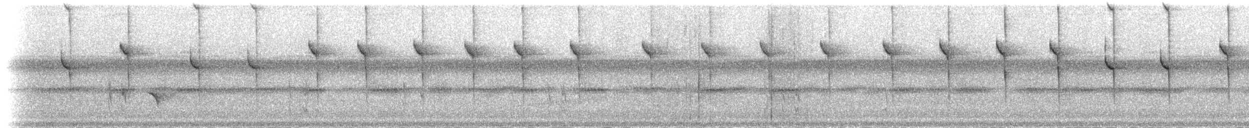 Mavi Kuyruklu Kolibri - ML211592