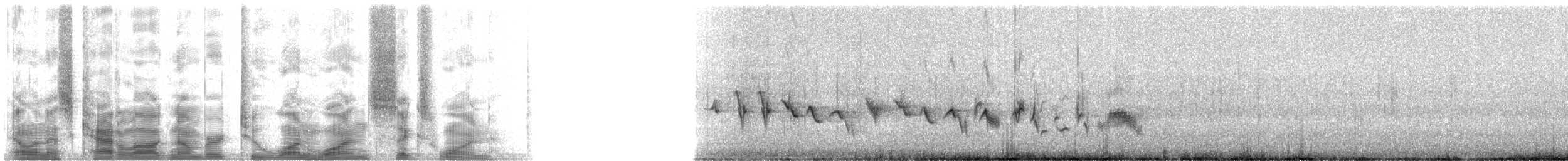 House Finch - ML21161