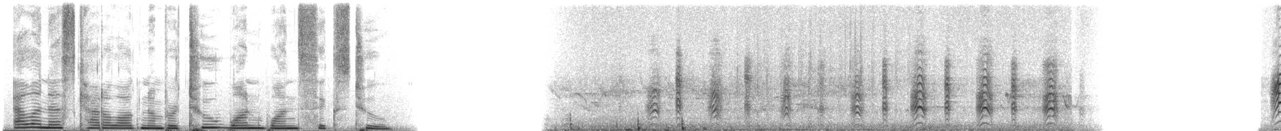 Acorn Woodpecker (Acorn) - ML21162