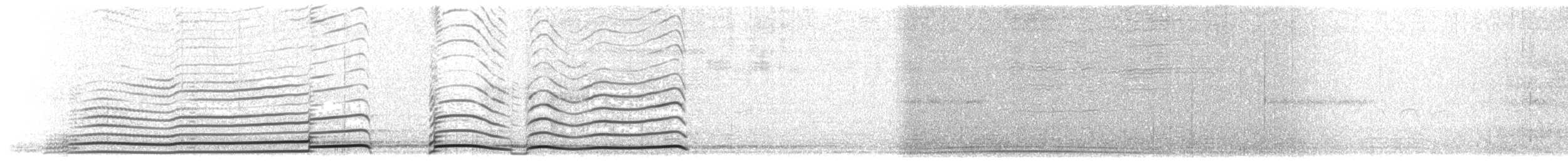 Plongeon à bec blanc - ML211635481