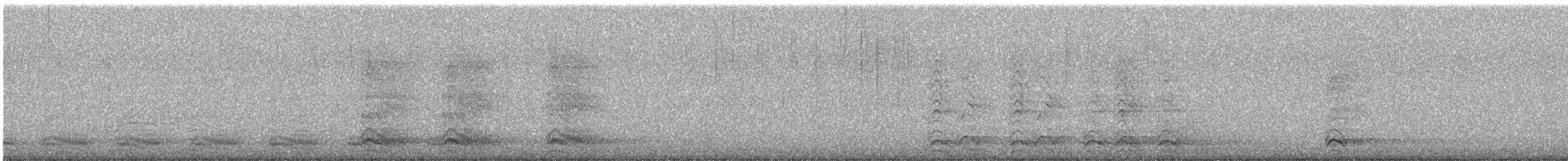 American Crow - ML211657681