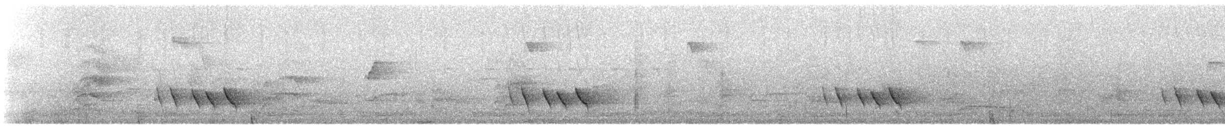 Allotrie siamoise (annamensis) - ML211666581