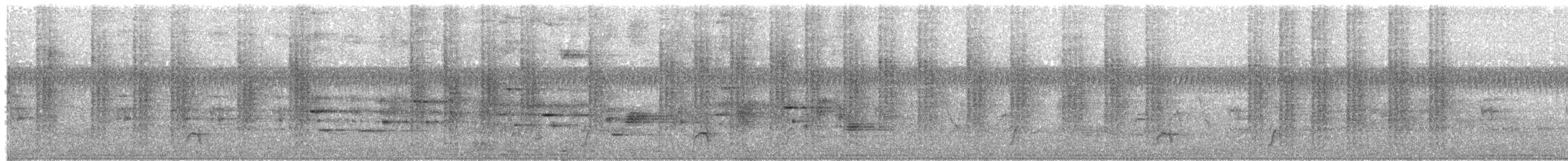 Happy Wren - ML211678151