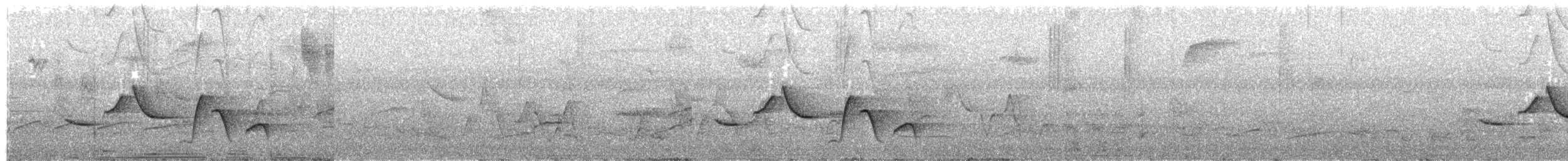 Happy Wren - ML211678161