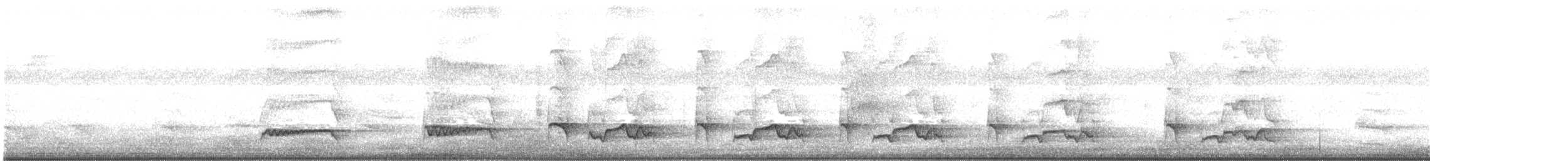 křepel zpěvavý - ML211687431