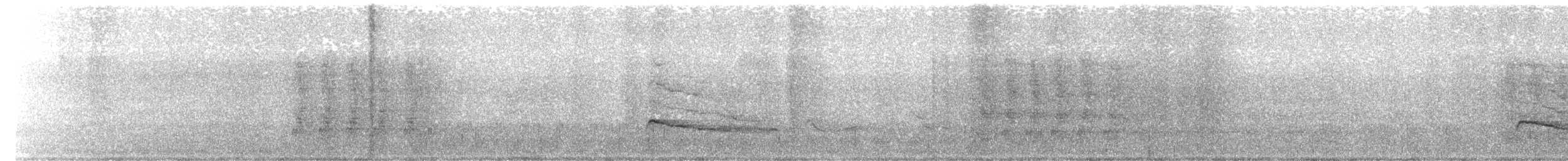 Rotschwanzbussard (calurus/alascensis) - ML211688591