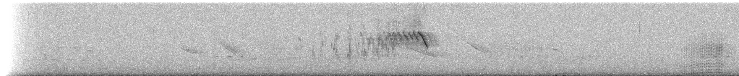holub pruhoocasý [skupina albilinea] - ML211706