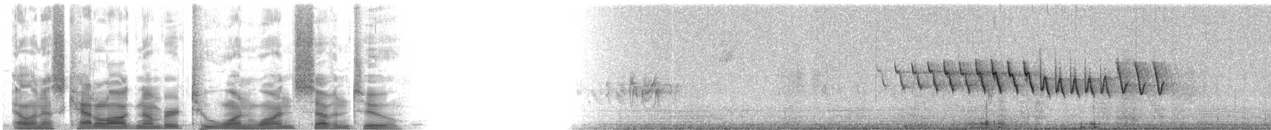 Lucy's Warbler - ML21172