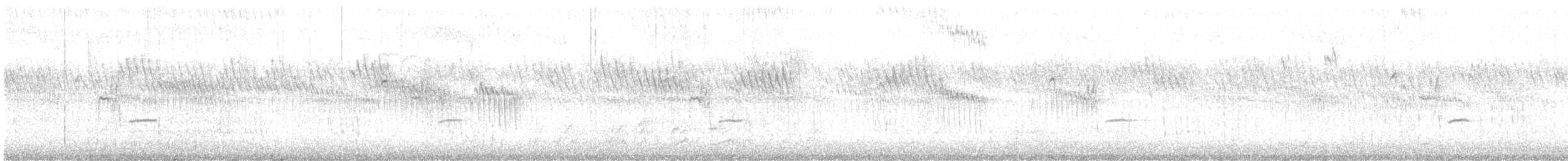 Шивэр энхэт бялзуухай - ML211722681
