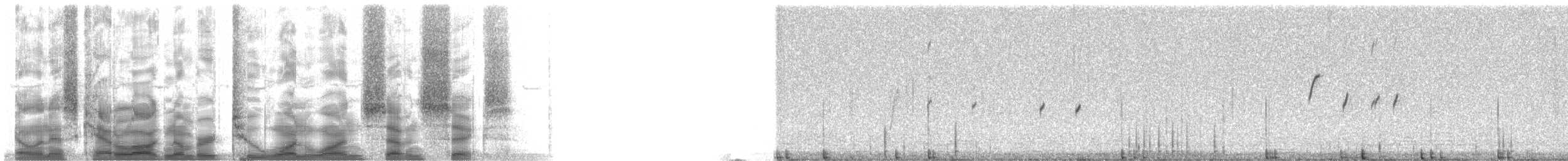 Black-throated Sparrow - ML21176