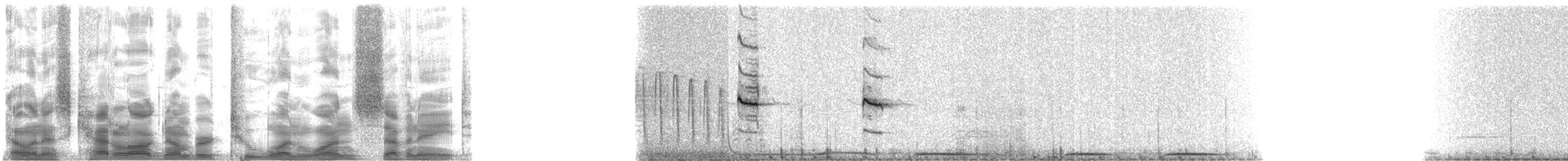 Chorlitejo Culirrojo - ML21178