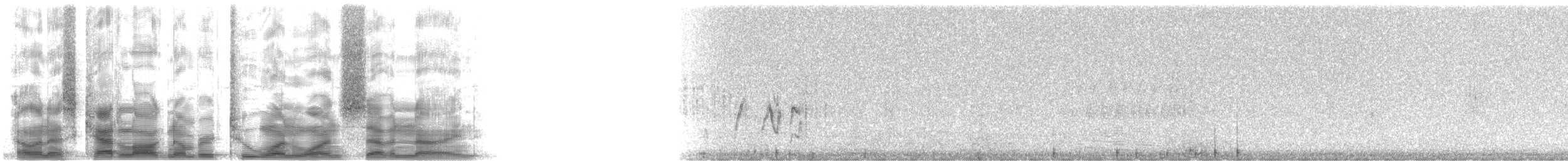 Northern Yellow Warbler - ML21179