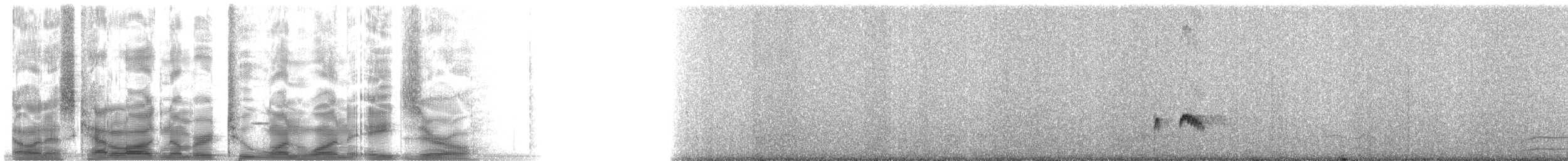 Ash-throated Flycatcher - ML21180